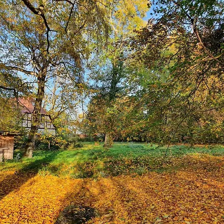 Neu Pfarrhof In Ostseenaehe Drechow