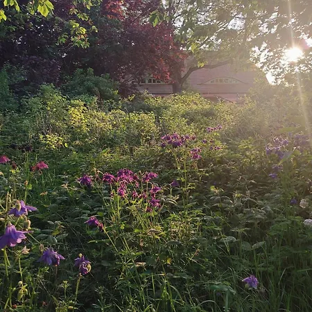 Lägenhet Neu Pfarrhof In Ostseenaehe *